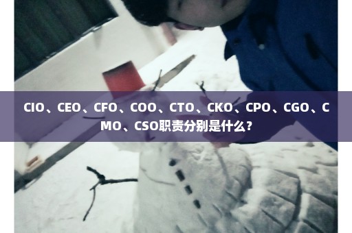 CIO、CEO、CFO、COO、CTO、CKO、CPO、CGO、CMO、CSO职责分别是什么？