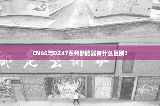 CN65与DZ47系列断路器有什么区别？