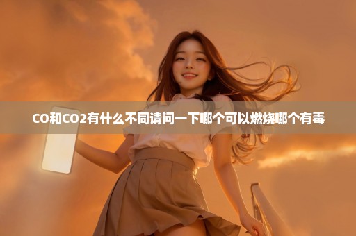 CO和CO2有什么不同请问一下哪个可以燃烧哪个有毒