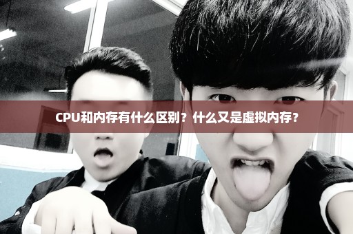 CPU和内存有什么区别？什么又是虚拟内存？
