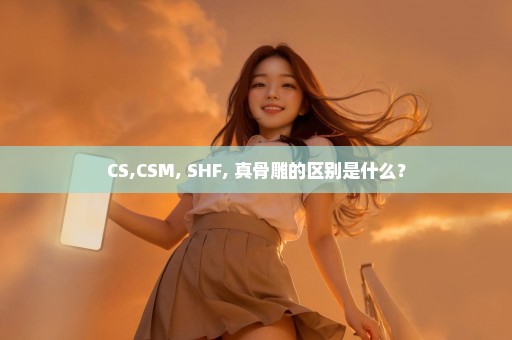 CS,CSM, SHF, 真骨雕的区别是什么？