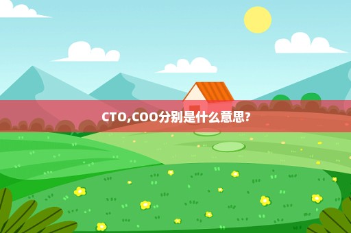 CTO,COO分别是什么意思?