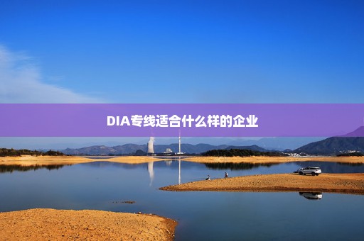 DIA专线适合什么样的企业