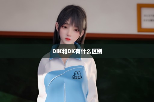 DIK和DK有什么区别