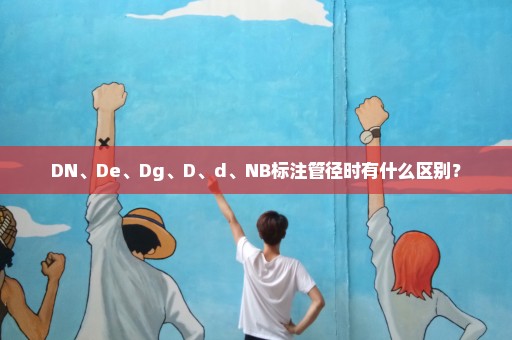 DN、De、Dg、D、d、NB标注管径时有什么区别？