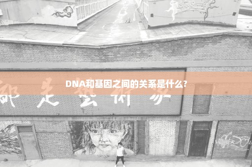 DNA和基因之间的关系是什么?