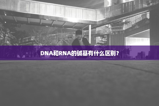 DNA和RNA的碱基有什么区别？