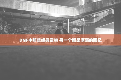 DNF中那些经典宠物 每一个都是满满的回忆