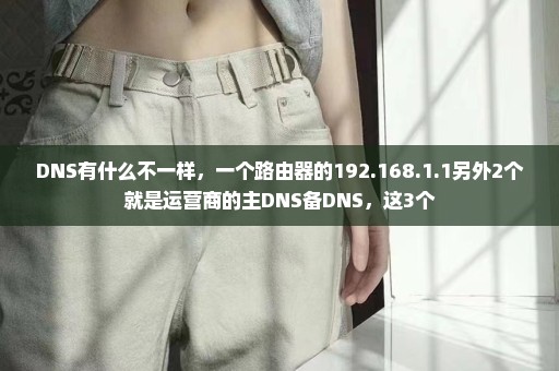 DNS有什么不一样，一个路由器的192.168.1.1另外2个就是运营商的主DNS备DNS，这3个