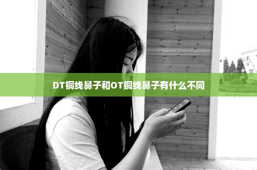 DT铜线鼻子和OT铜线鼻子有什么不同