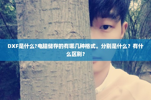 DXF是什么?电脑储存的有哪几种格式。分别是什么？有什么区别？
