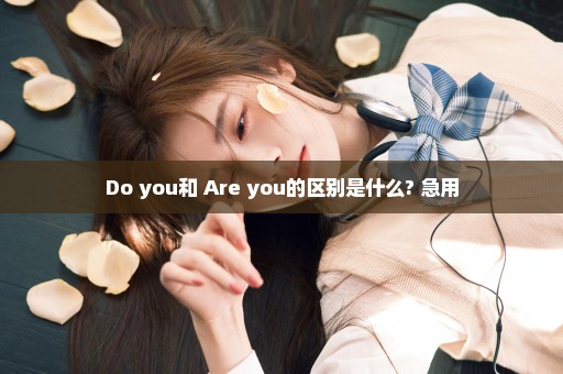 Do you和 Are you的区别是什么? 急用