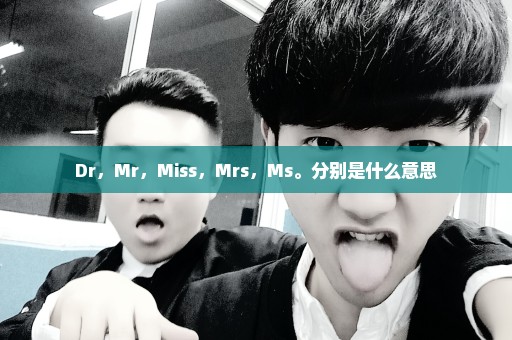 Dr，Mr，Miss，Mrs，Ms。分别是什么意思