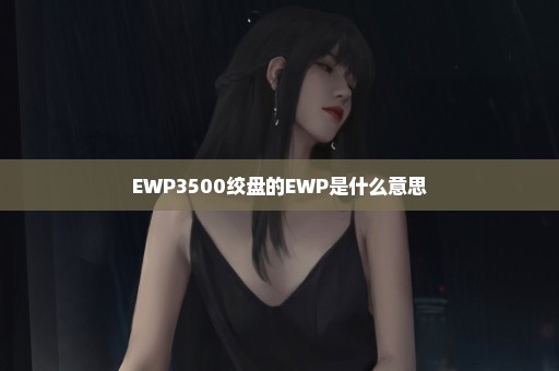 EWP3500绞盘的EWP是什么意思