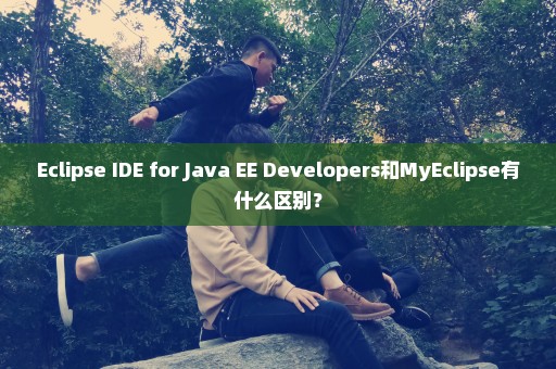 Eclipse IDE for Java EE Developers和MyEclipse有什么区别？