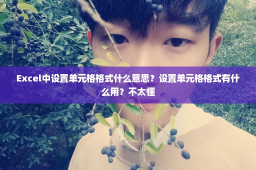 Excel中设置单元格格式什么意思？设置单元格格式有什么用？不太懂