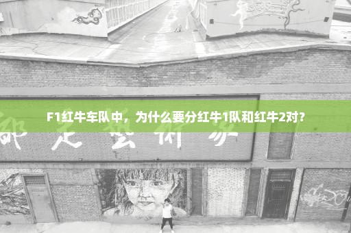 F1红牛车队中，为什么要分红牛1队和红牛2对？