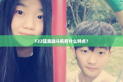 F22猛禽战斗机有什么特点？