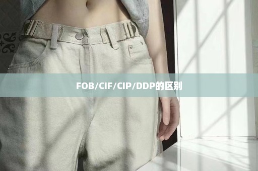 FOB/CIF/CIP/DDP的区别