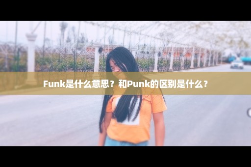 Funk是什么意思？和Punk的区别是什么？