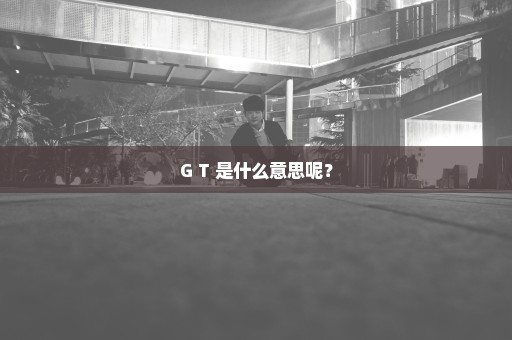 G T 是什么意思呢？