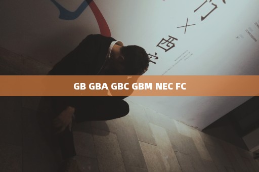 GB GBA GBC GBM NEC FC