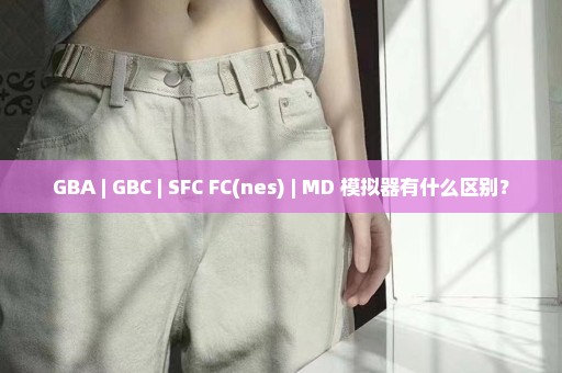 GBA | GBC | SFC FC(nes) | MD 模拟器有什么区别？