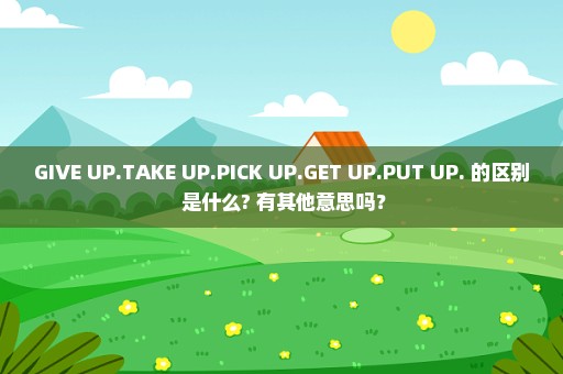 GIVE UP.TAKE UP.PICK UP.GET UP.PUT UP. 的区别 是什么? 有其他意思吗？