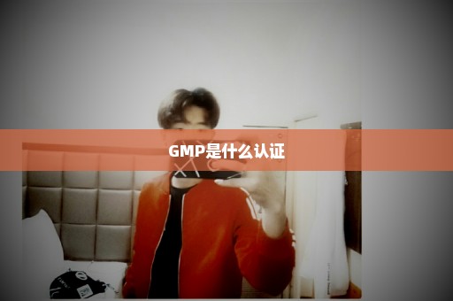 GMP是什么认证