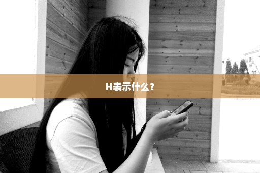 H表示什么？
