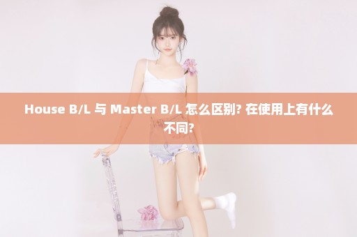 House B/L 与 Master B/L 怎么区别? 在使用上有什么不同?