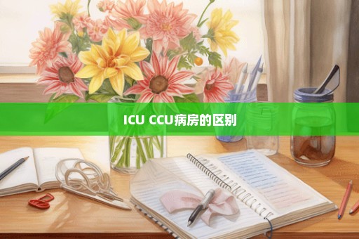 ICU CCU病房的区别