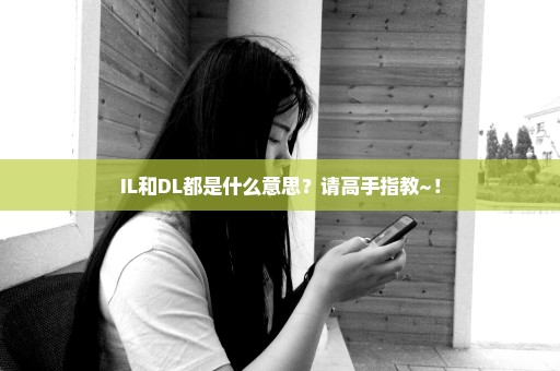 IL和DL都是什么意思？请高手指教~！