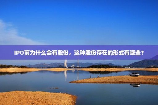 IPO前为什么会有股份，这种股份存在的形式有哪些？