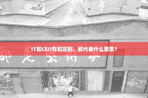 IT和CEO有和区别，都代表什么意思？