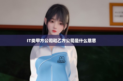 IT类甲方公司和乙方公司是什么意思