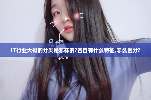 IT行业大概的分类是怎样的?各自有什么特征,怎么区分?
