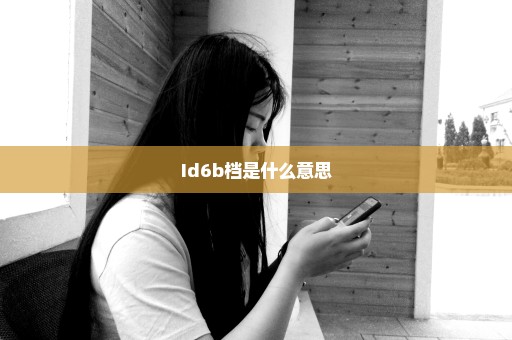 Id6b档是什么意思