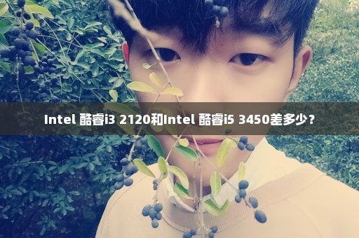 Intel 酷睿i3 2120和Intel 酷睿i5 3450差多少？