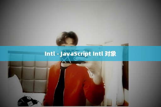 Intl - JavaScript Intl 对象
