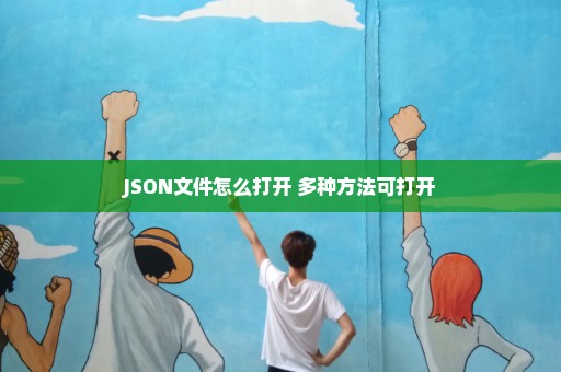JSON文件怎么打开 多种方法可打开