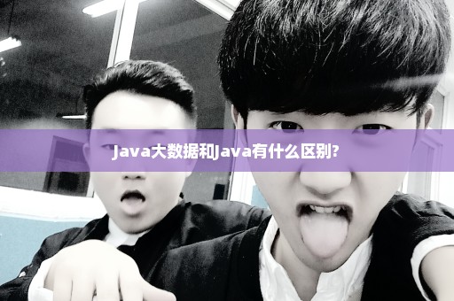Java大数据和Java有什么区别?