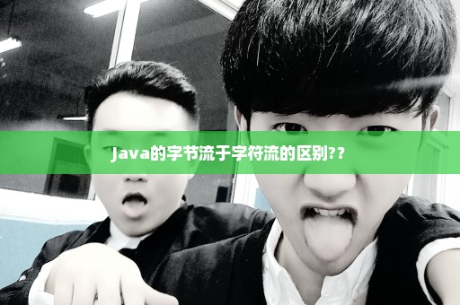 Java的字节流于字符流的区别?？