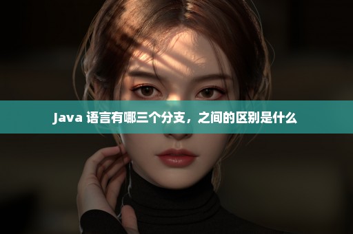 Java 语言有哪三个分支，之间的区别是什么