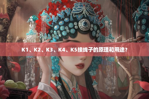 K1、K2、K3、K4、K5接线子的原理和用途？