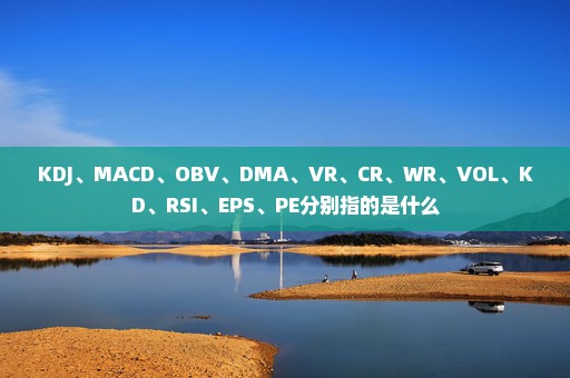 KDJ、MACD、OBV、DMA、VR、CR、WR、VOL、KD、RSI、EPS、PE分别指的是什么