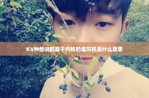 KVM他说的基于内核的虚拟机是什么意思