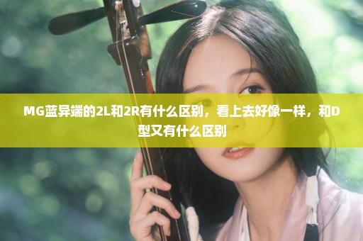 MG蓝异端的2L和2R有什么区别，看上去好像一样，和D型又有什么区别