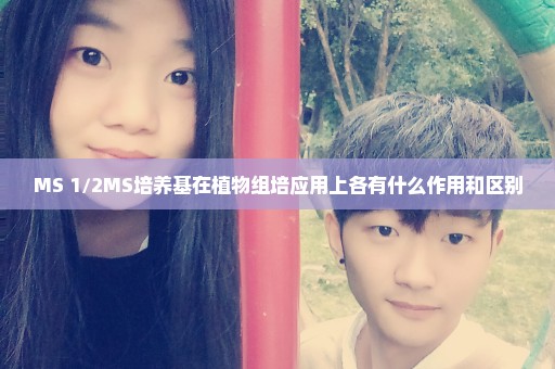 MS 1/2MS培养基在植物组培应用上各有什么作用和区别
