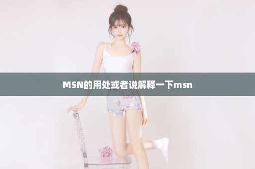MSN的用处或者说解释一下msn